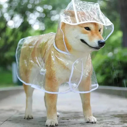 ☔ PawRain – The Ultimate Raincoat for Your Pet! 🐾🌧️