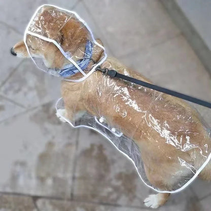 ☔ PawRain – The Ultimate Raincoat for Your Pet! 🐾🌧️