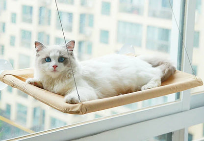 ☀️ Hammock Solar Pet – The Ultimate Sunbathing Spot for Your Cat! 🐱✨