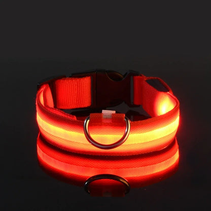 🔦 LED Safety Collar – Keep Your Pet Visible &amp; Safe! 🐶✨