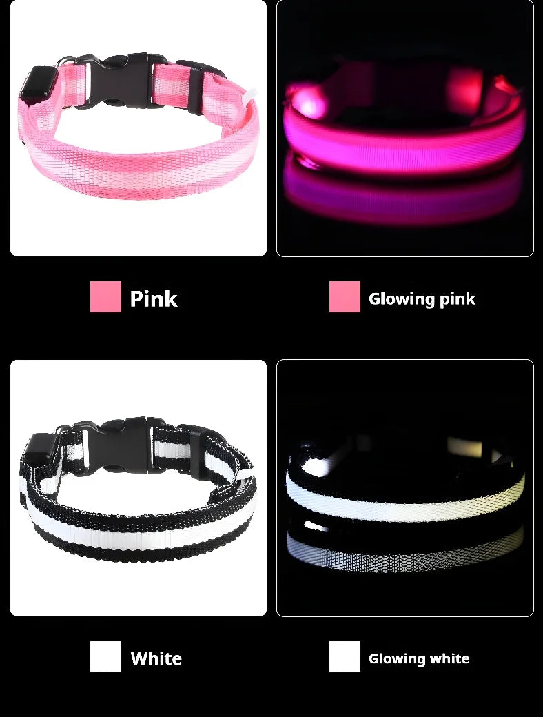 🔦 LED Safety Collar – Keep Your Pet Visible &amp; Safe! 🐶✨