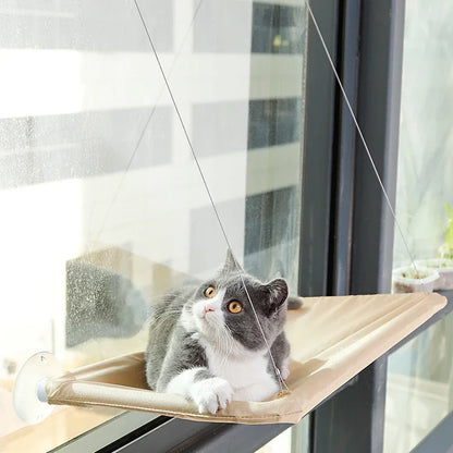 ☀️ Hammock Solar Pet – The Ultimate Sunbathing Spot for Your Cat! 🐱✨