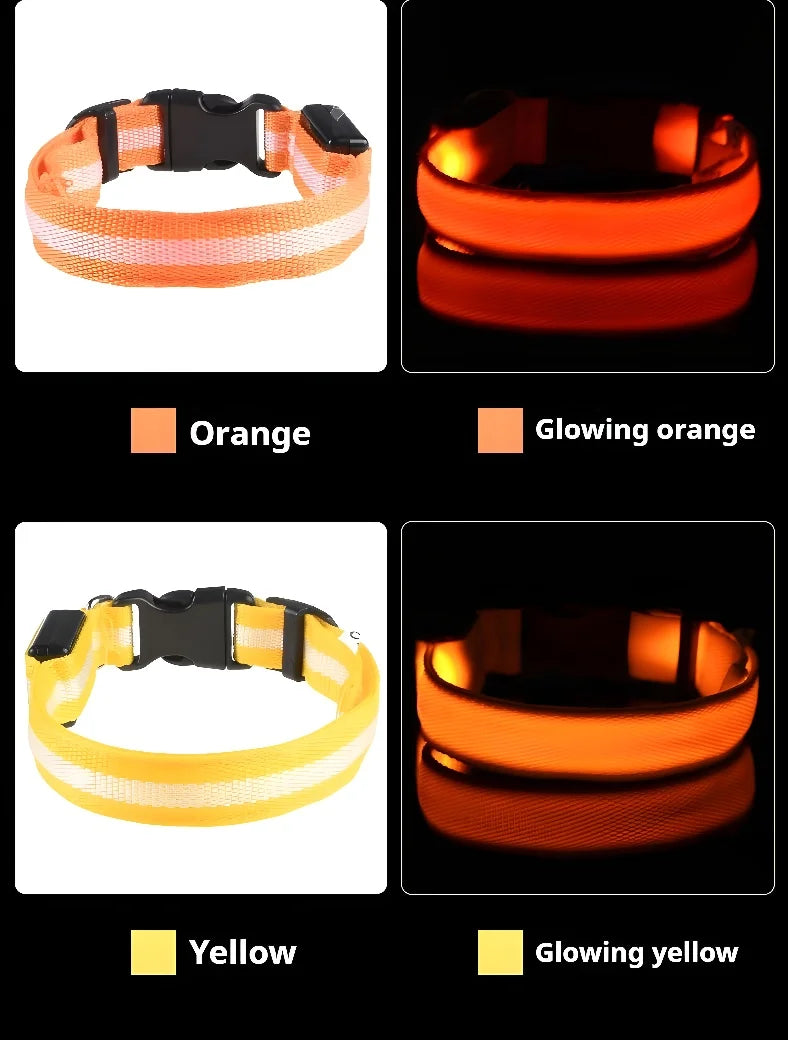 🔦 LED Safety Collar – Keep Your Pet Visible &amp; Safe! 🐶✨