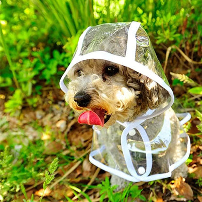 ☔ PawRain – The Ultimate Raincoat for Your Pet! 🐾🌧️