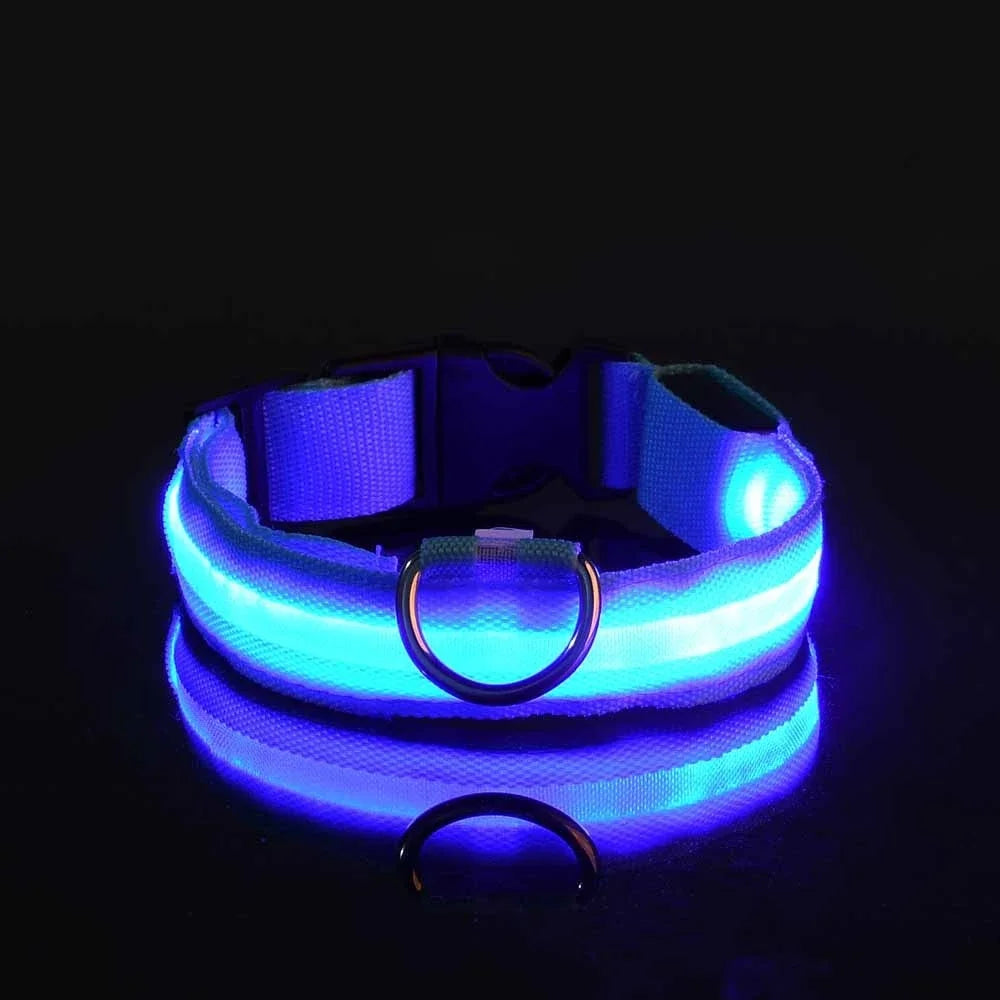 🔦 LED Safety Collar – Keep Your Pet Visible &amp; Safe! 🐶✨