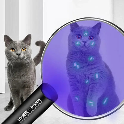 🔦🐾 PetGlow UV Scanner – Your Pet’s Health, Illuminated! ✨