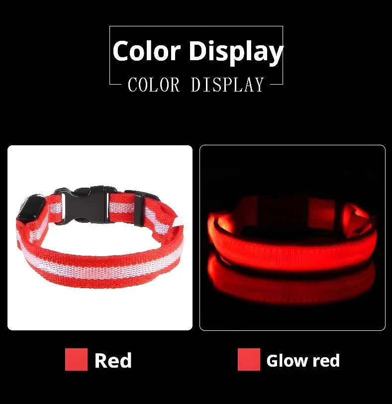 🔦 LED Safety Collar – Keep Your Pet Visible &amp; Safe! 🐶✨