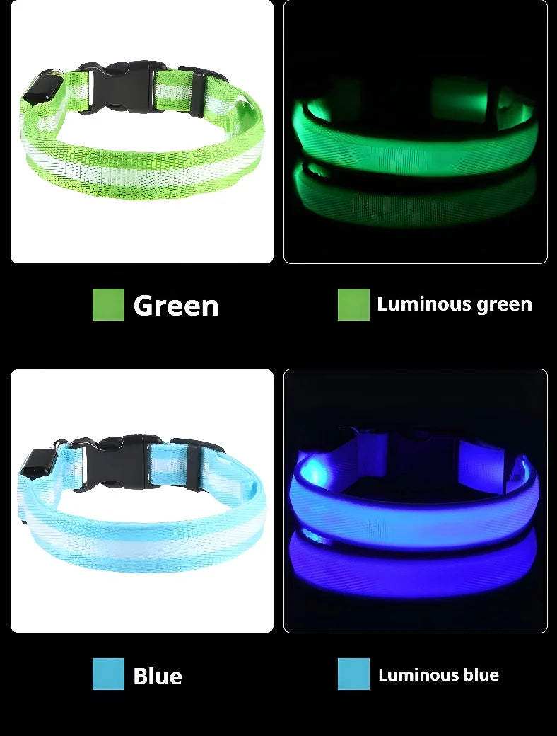 🔦 LED Safety Collar – Keep Your Pet Visible &amp; Safe! 🐶✨