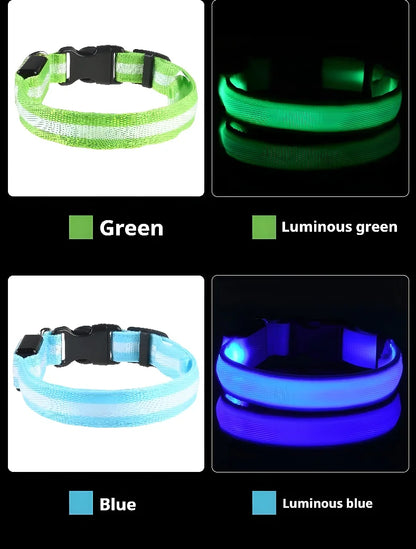 🔦 LED Safety Collar – Keep Your Pet Visible &amp; Safe! 🐶✨