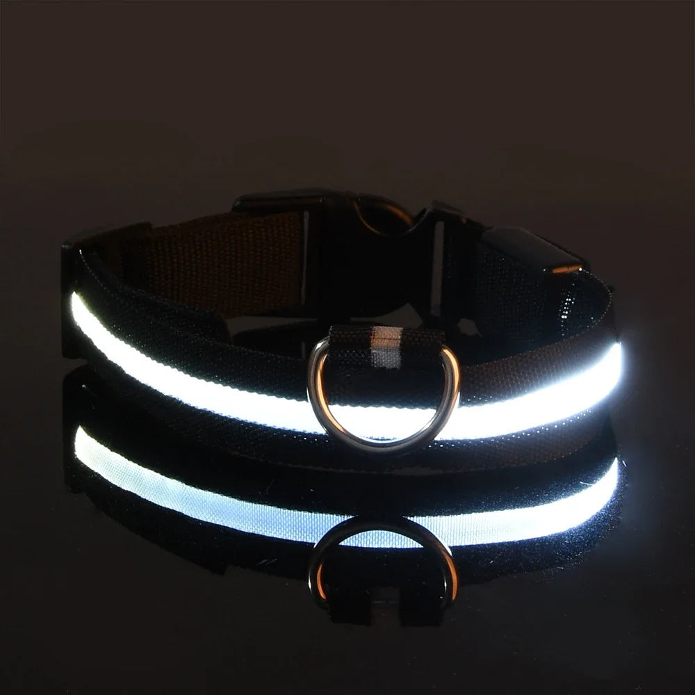 🔦 LED Safety Collar – Keep Your Pet Visible &amp; Safe! 🐶✨