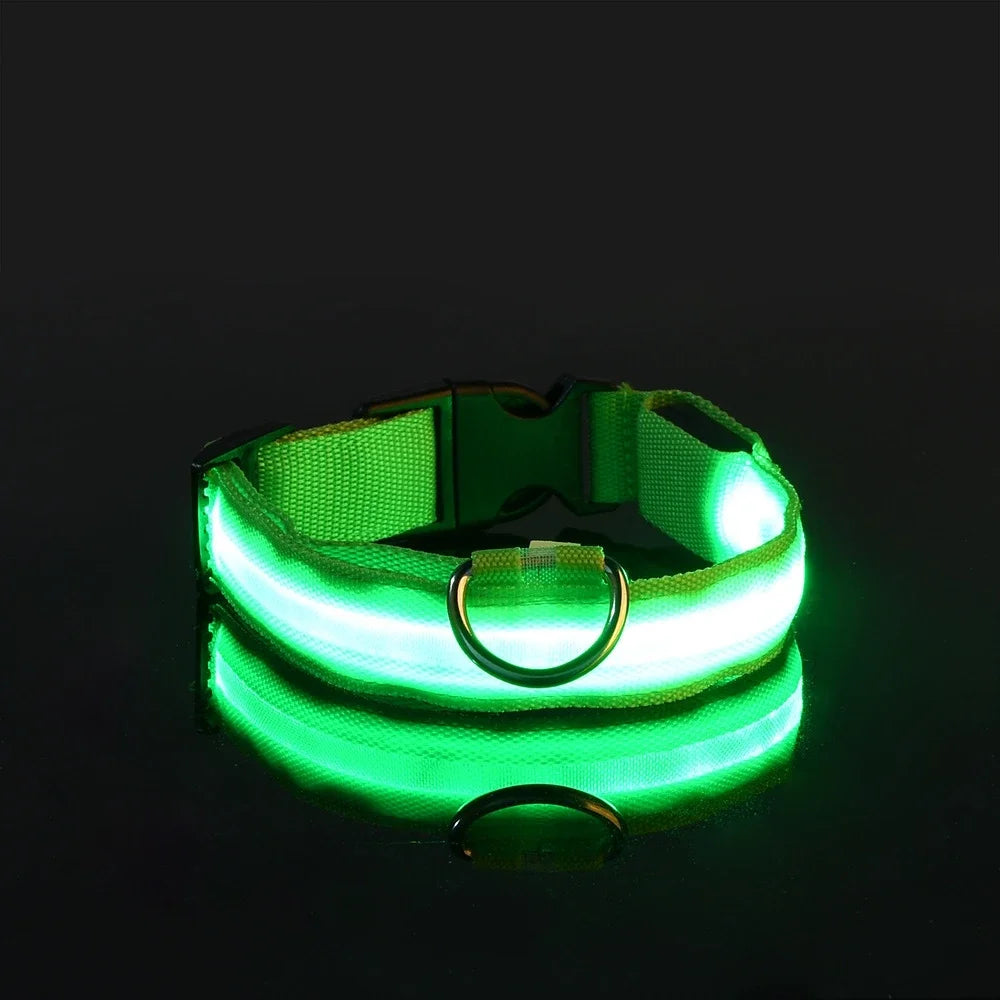 🔦 LED Safety Collar – Keep Your Pet Visible &amp; Safe! 🐶✨