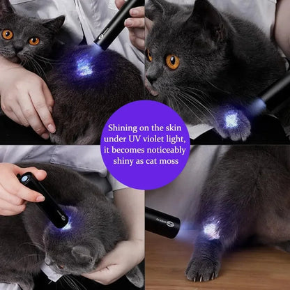 🔦🐾 PetGlow UV Scanner – Your Pet’s Health, Illuminated! ✨