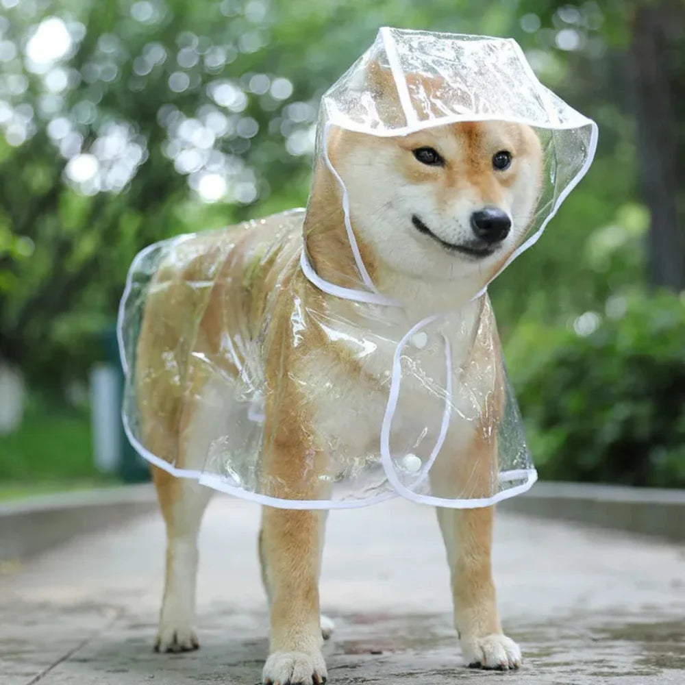 ☔ PawRain – The Ultimate Raincoat for Your Pet! 🐾🌧️