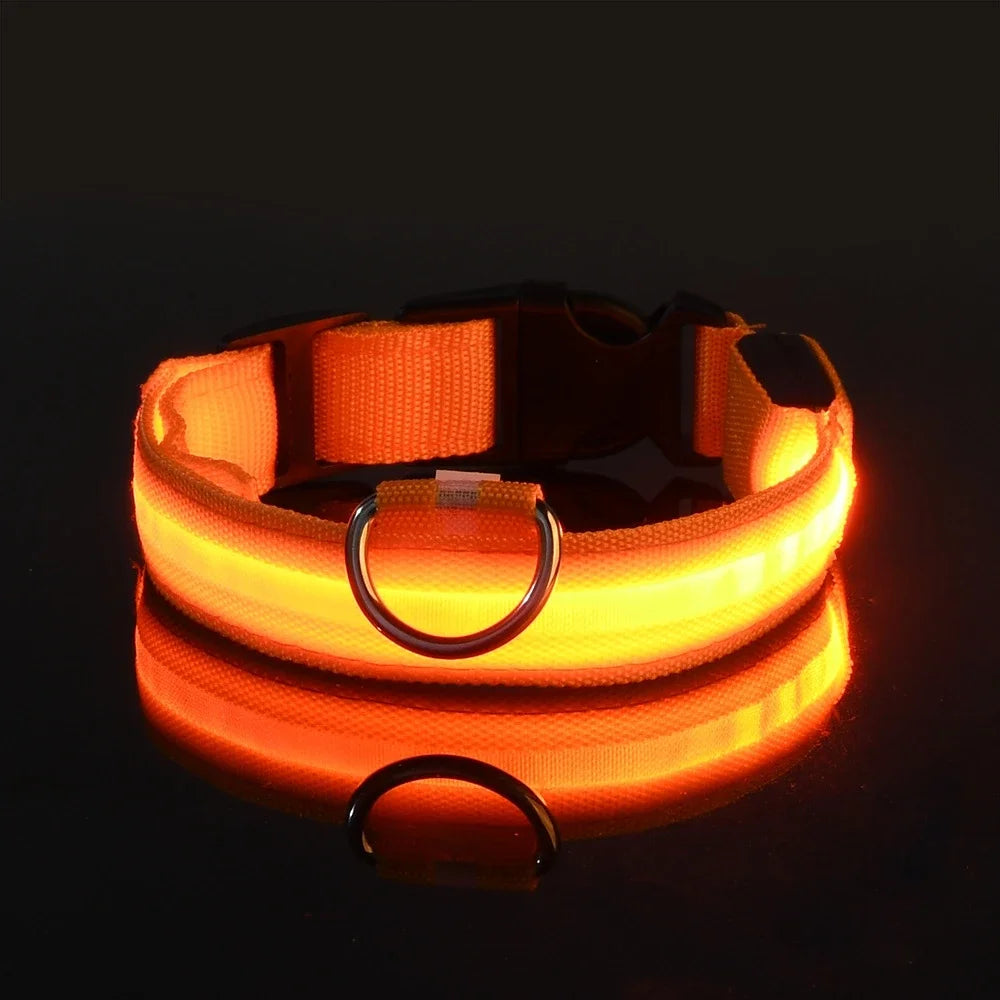 🔦 LED Safety Collar – Keep Your Pet Visible &amp; Safe! 🐶✨