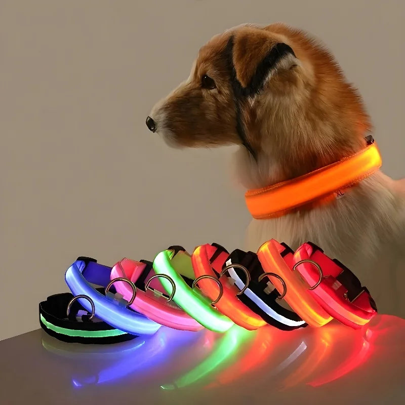 🔦 LED Safety Collar – Keep Your Pet Visible &amp; Safe! 🐶✨