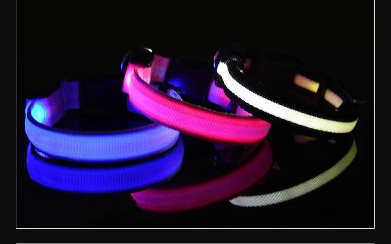 🔦 LED Safety Collar – Keep Your Pet Visible &amp; Safe! 🐶✨