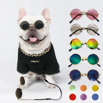 😎 Vintage Pet Sunglasses – The Ultimate Style Statement! 🐾✨