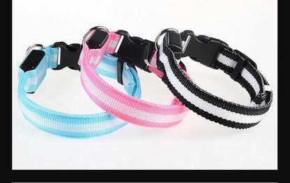 🔦 LED Safety Collar – Keep Your Pet Visible &amp; Safe! 🐶✨