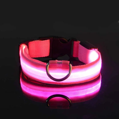 🔦 LED Safety Collar – Keep Your Pet Visible &amp; Safe! 🐶✨