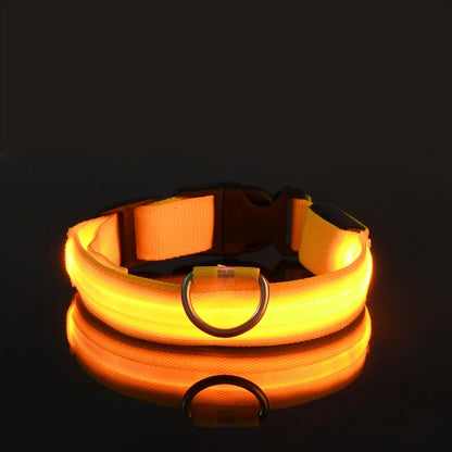 🔦 LED Safety Collar – Keep Your Pet Visible &amp; Safe! 🐶✨