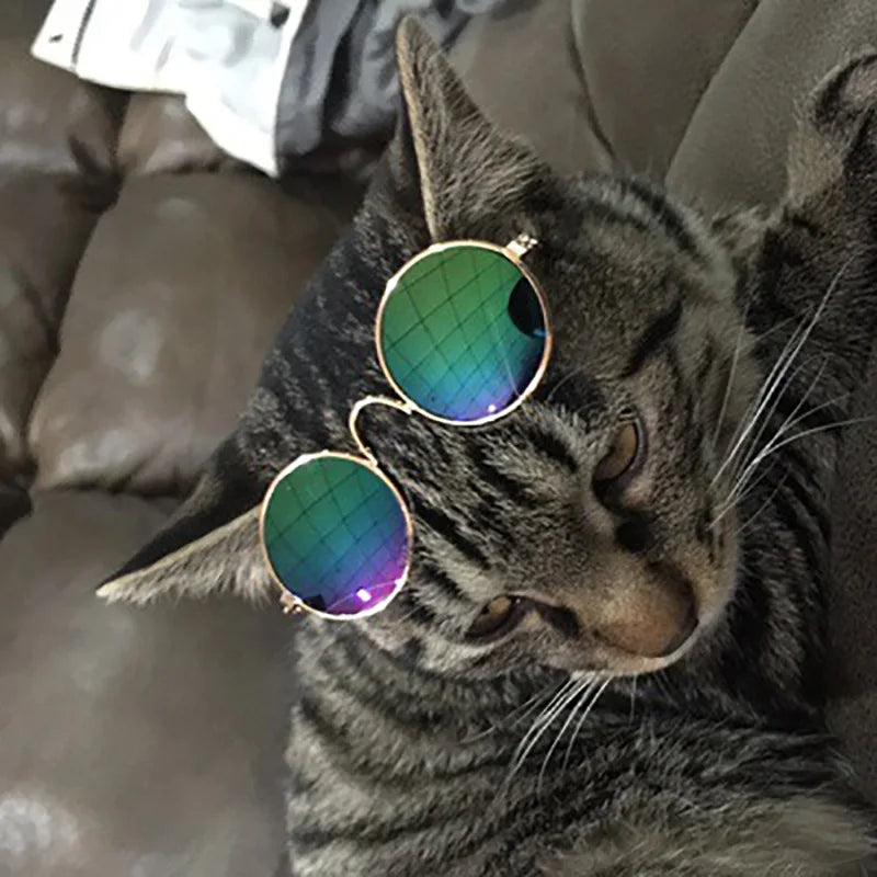 😎 Vintage Pet Sunglasses – The Ultimate Style Statement! 🐾✨