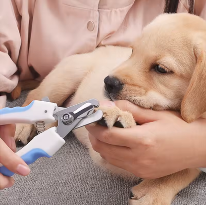 ✂️ PawPerfect – Precision Pet Nail Clippers for Easy Grooming! 🐾💖